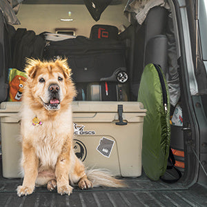 7FT Camping Dusch- & Toilettenzelt